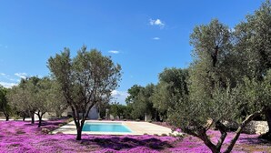 A pool surrounded by olive trees and purple flowers. - Trullo The Magnificent (Ostuni)