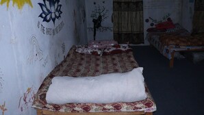 Une pièce avec un lit, un autre lit à l’arrière-plan, un mur couvert de graffitis et une décoration en forme d’arbre.