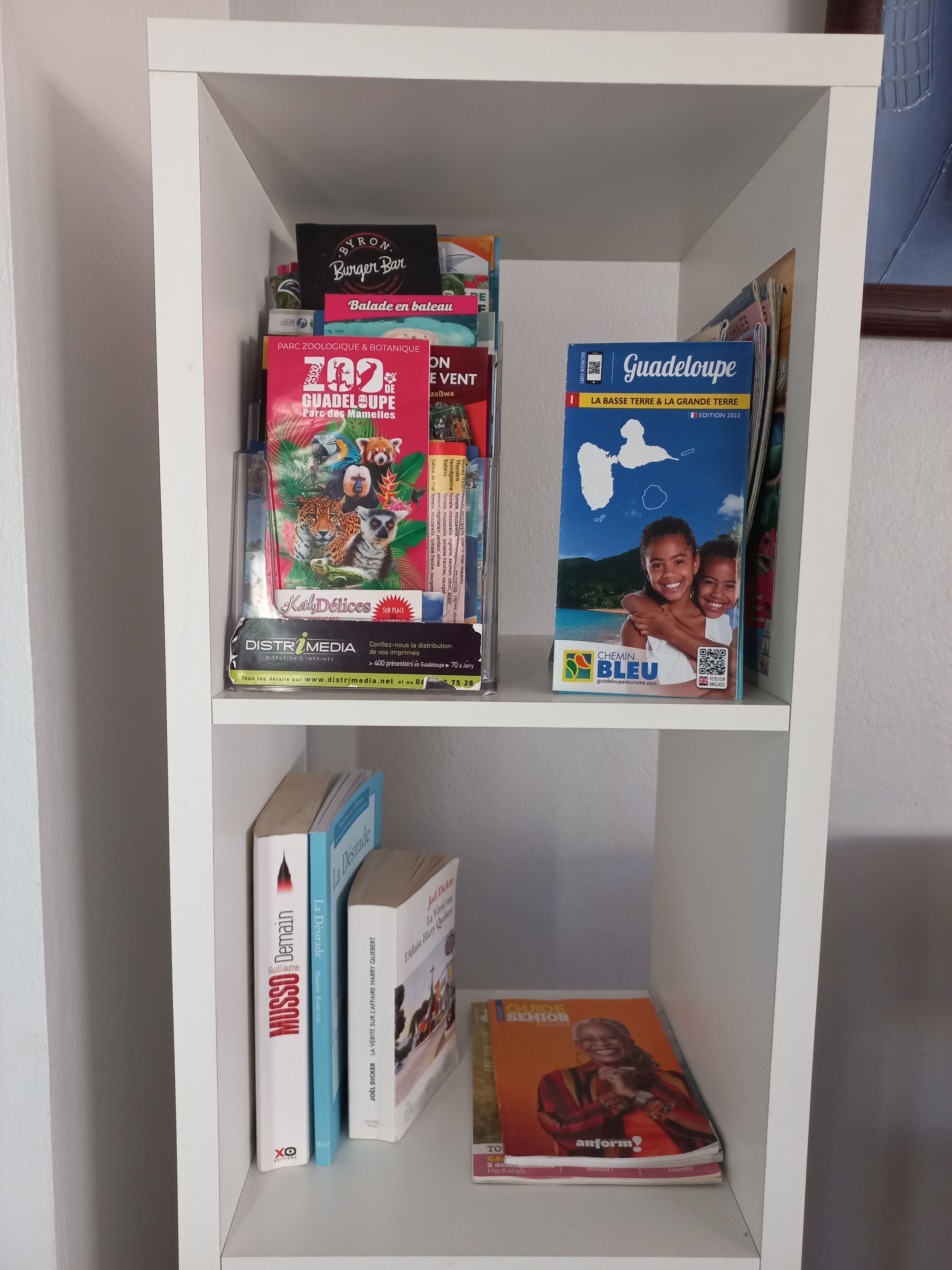 A bookshelf with various books, including travel guides and a magazine.