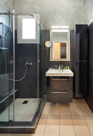 Douche, séchoir à cheveux, savon, shampooing
