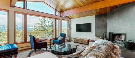 Televisión, chimenea, videojuegos, reproductor de DVD