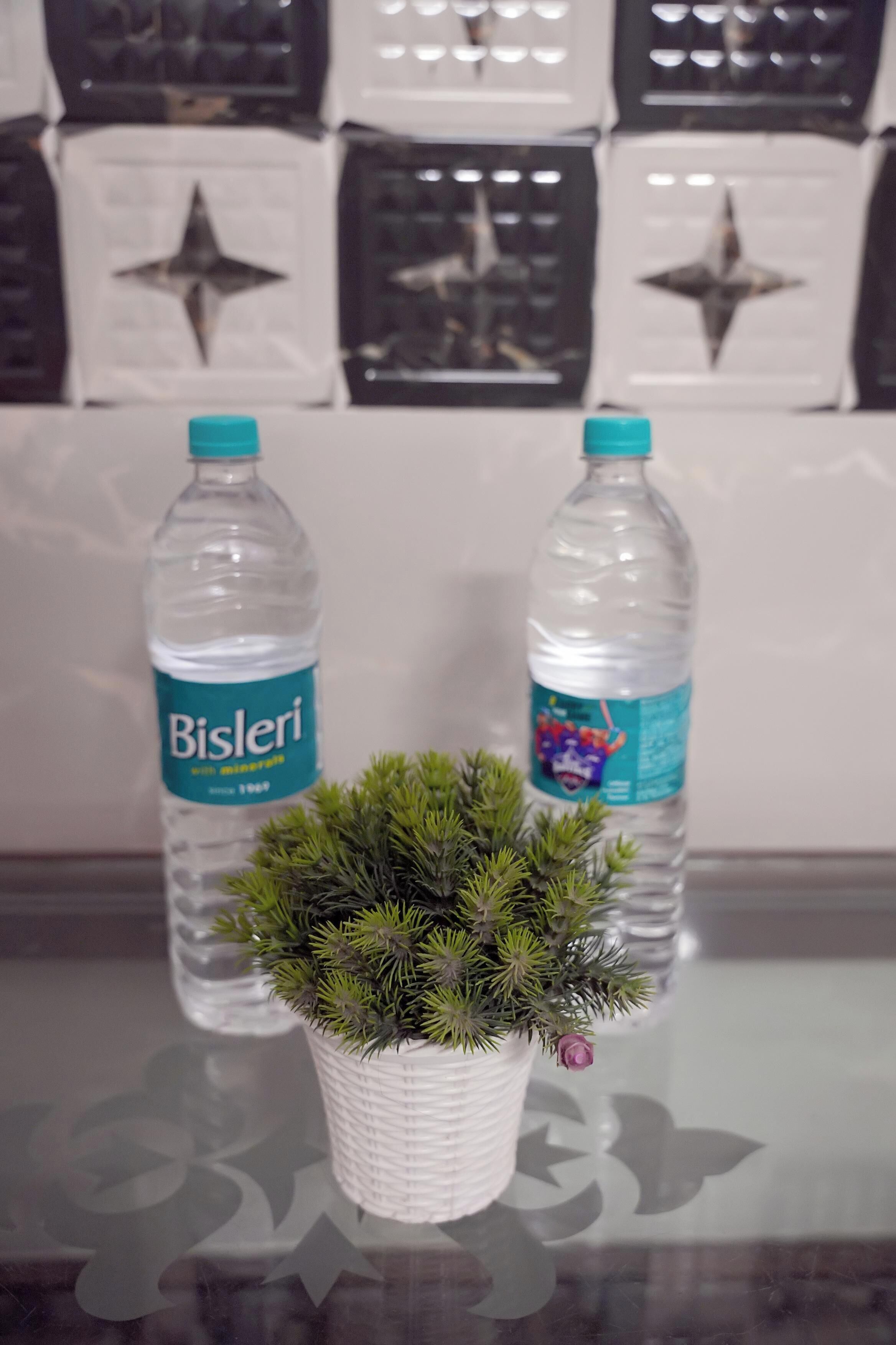 Twee waterflessen met de aanduiding 'Bisleri' op een reflecterend oppervlak, met een kleine potplant op de voorgrond.