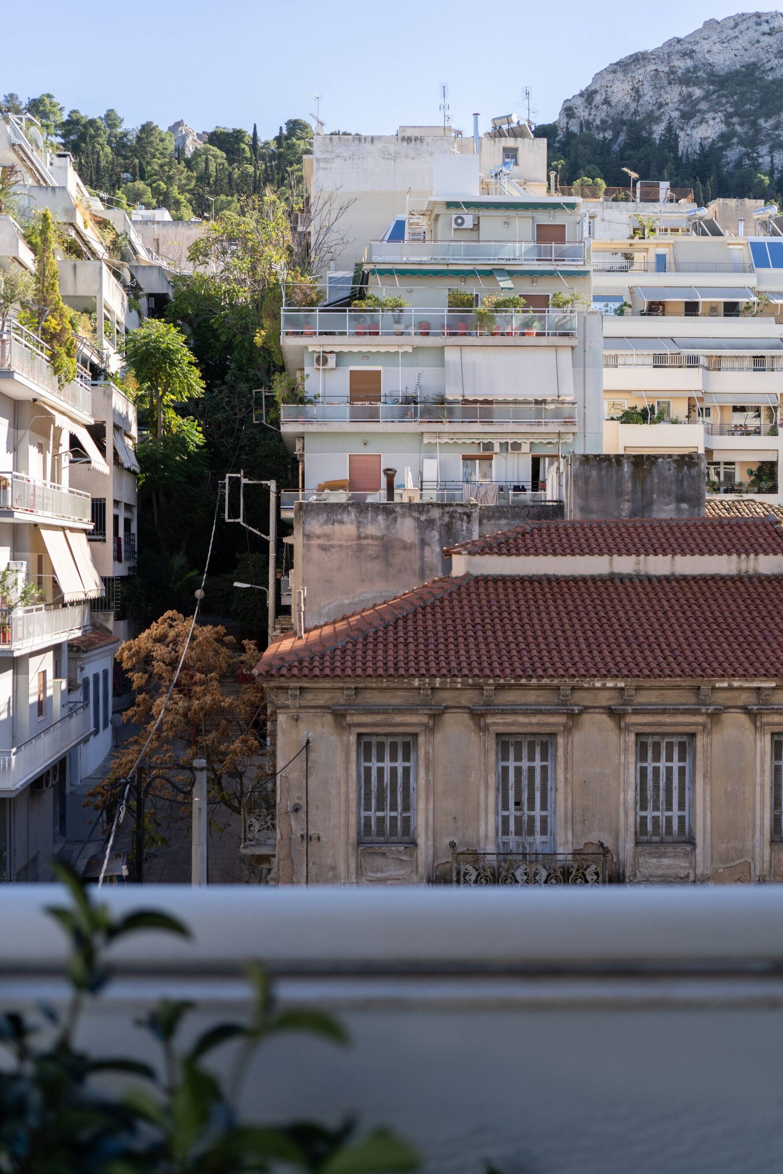 Vista da propriedade