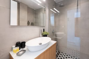 Shower, hair dryer, soap, shampoo