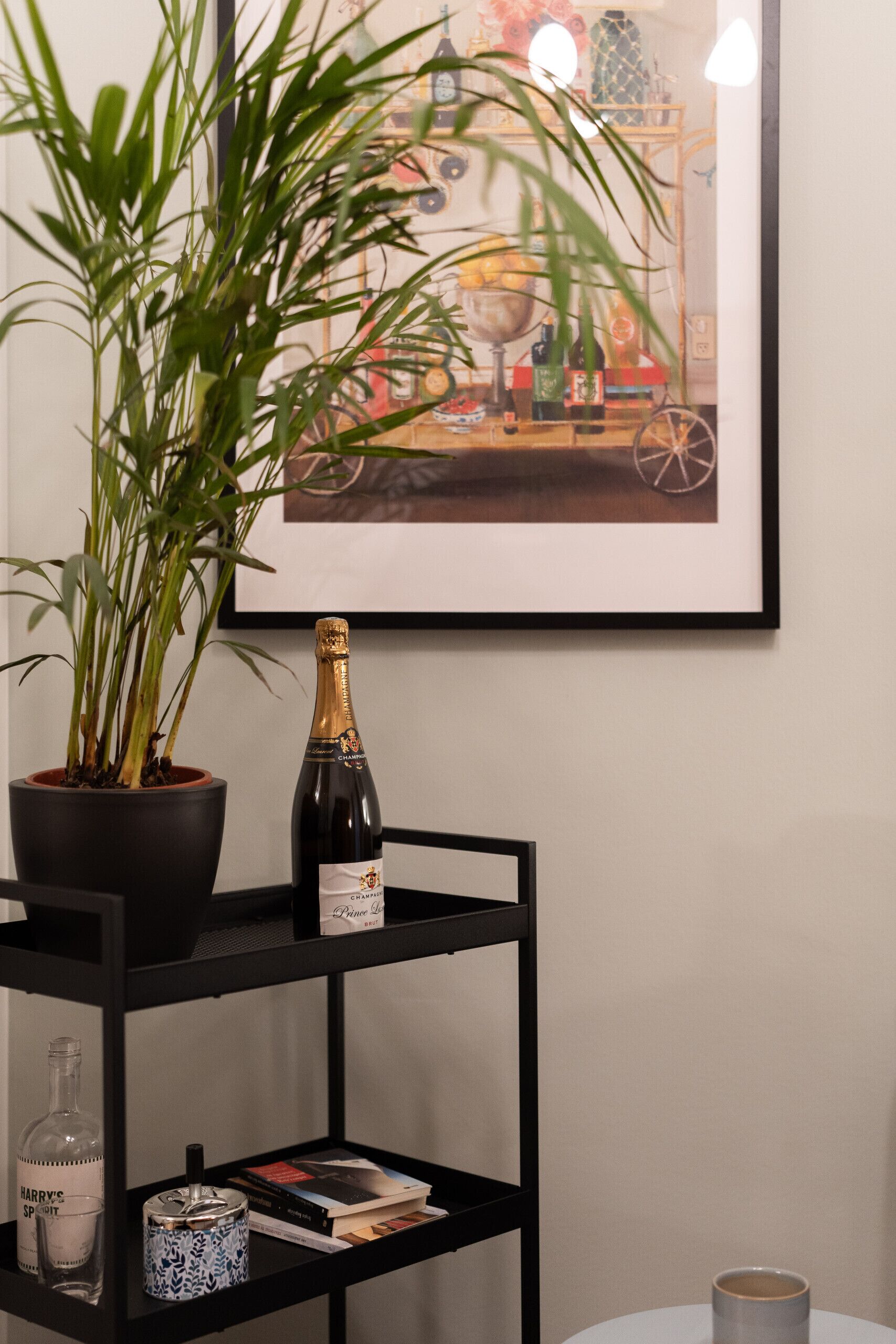 A black shelf with a potted plant, a bottle of champagne, a glass bottle, a book, and a mug.