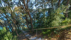 Una escalera de piedra en un área boscosa con una barrera de cuerda.