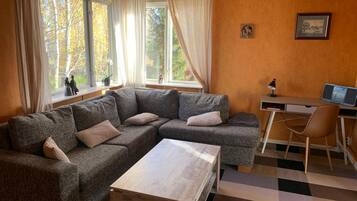 Fernseher, Kamin, DVD-Player, TischfuĂball