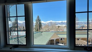 A view through a window with a metal grid, revealing a building with a green roof and a snow-capped mountain in the background.