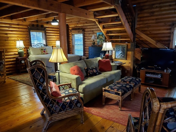 Smart TV, fireplace, DVD player, books