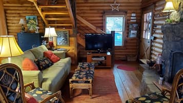 TV connectée, cheminée, lecteur de DVD, livres