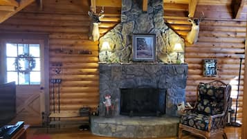 Smart TV, chimenea, reproductor de DVD y libros