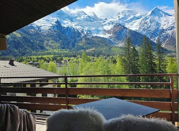 Property grounds - Charming T3 with terrace in Chamonix (Chamonix-Mont-Blanc)