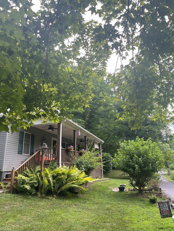 A house with a porch, steps, and a small garden with ferns and a sign.