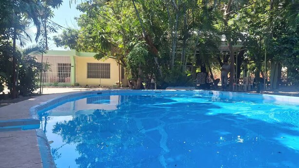 A clear blue swimming pool surrounded by lush greenery and a small building with a window.
