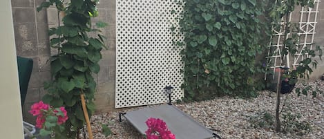 Terras