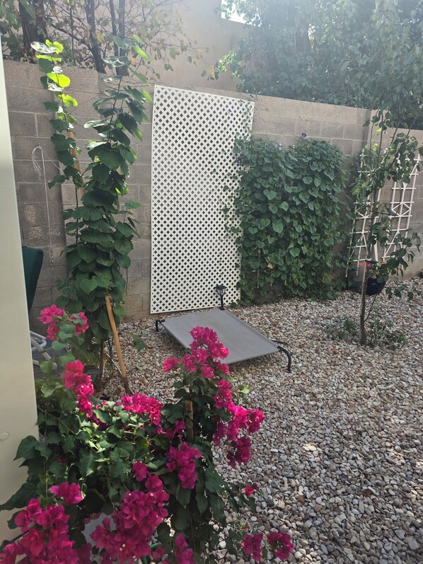 Terraza o patio