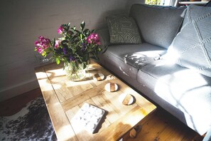 Smart TV, fireplace, books