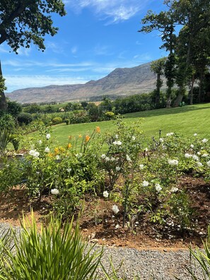 Property grounds - Tranquil Garden Cottage with Stunning Vineyard-to-Mountain Views (Cape Town)