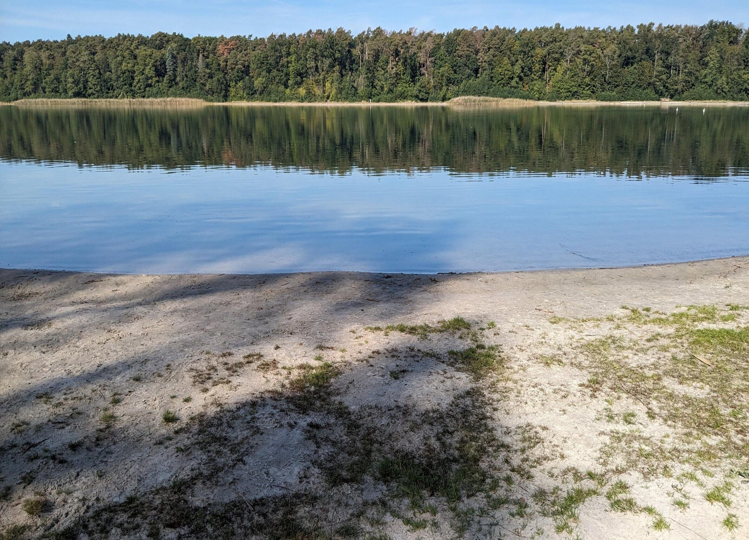 Un lago tranquilo con orilla arenosa y un bosque al fondo.