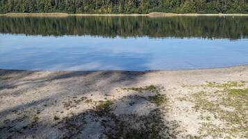 Un lago tranquilo con orilla arenosa y un bosque al fondo.