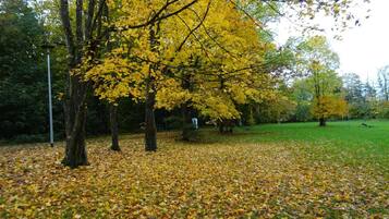 A park with trees displaying yellow leaves, a grassy area, and a lamppost.