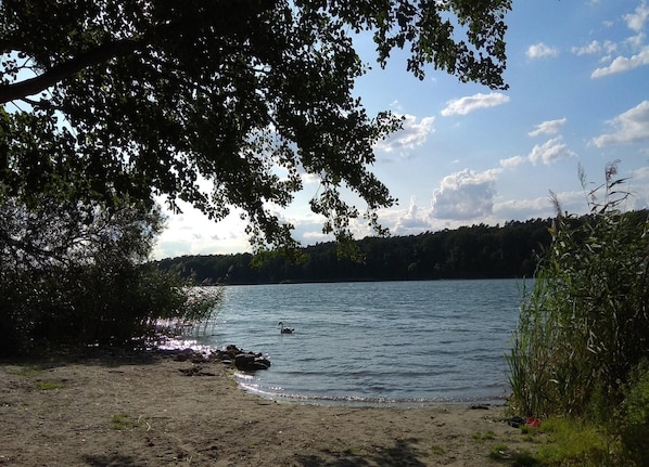 Leilighet | Utsikt fra overnattingsstedet