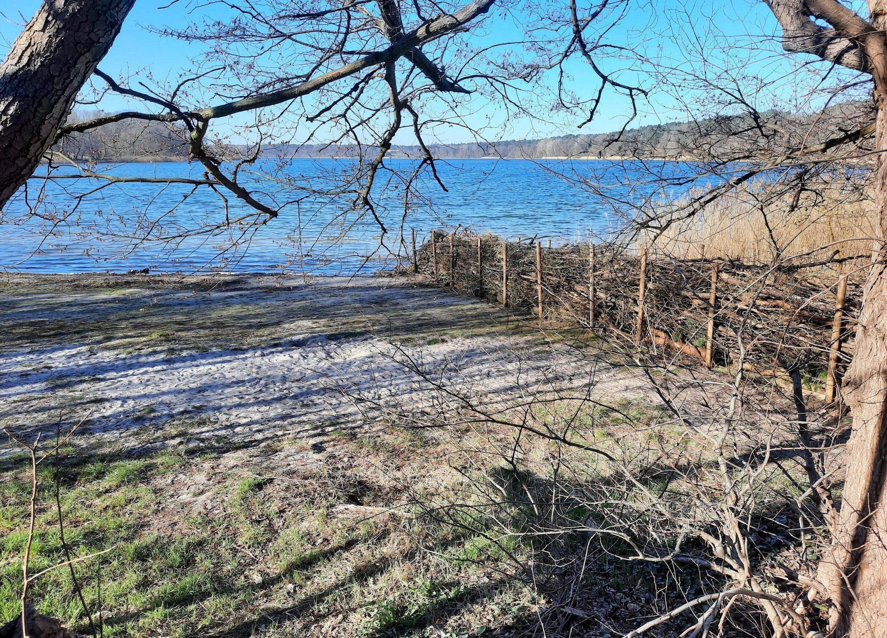 A lakeside view with a sandy beach, a wooden fence, and leafless trees.