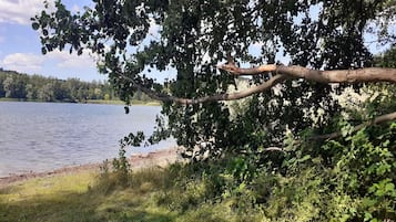 Vista de un lago con abundante vegetación y aguas tranquilas.