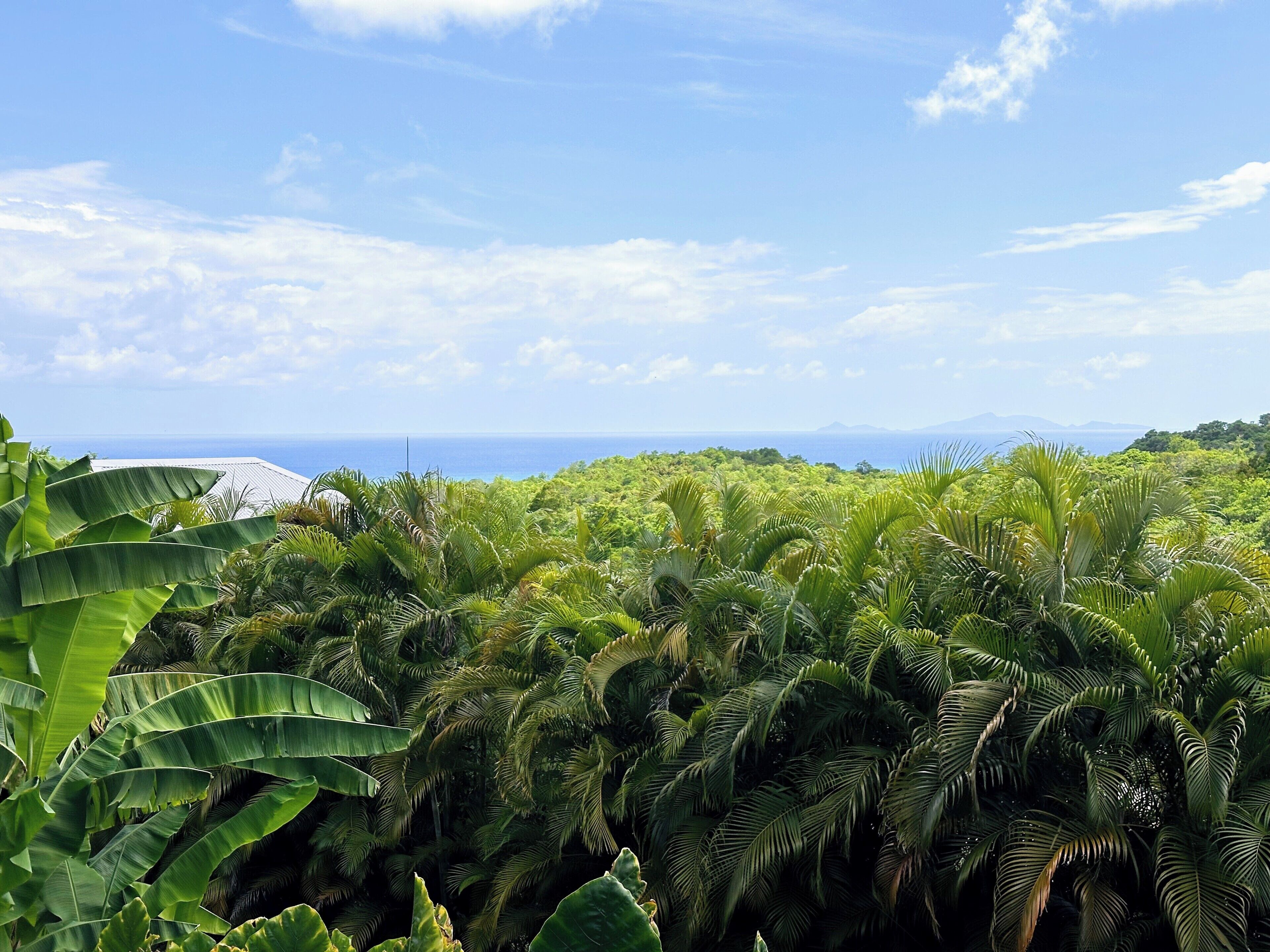 Un paysage tropical luxuriant, avec une végétation dense et une vue sur l’océan.