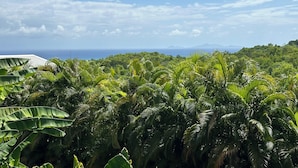 Un exuberante paisaje tropical con follaje denso y vista al océano.