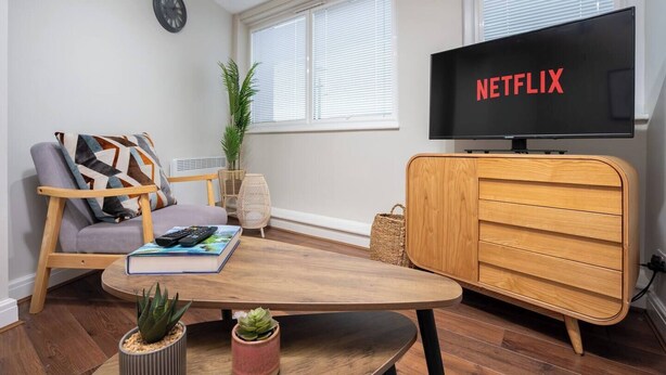 A modern living room with a wooden coffee table, a sofa with patterned cushions, a television displaying 'NETFLIX', and a potted plant.