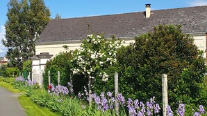 Ett hus med en trädgård, en gångstig och ett staket.