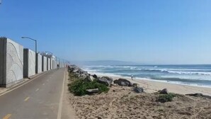 A coastal road with a concrete barrier, a clear sky, and the ocean in the background.
