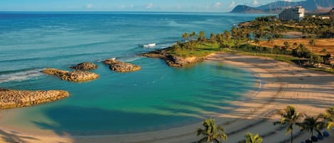 在海灘附近、躺椅