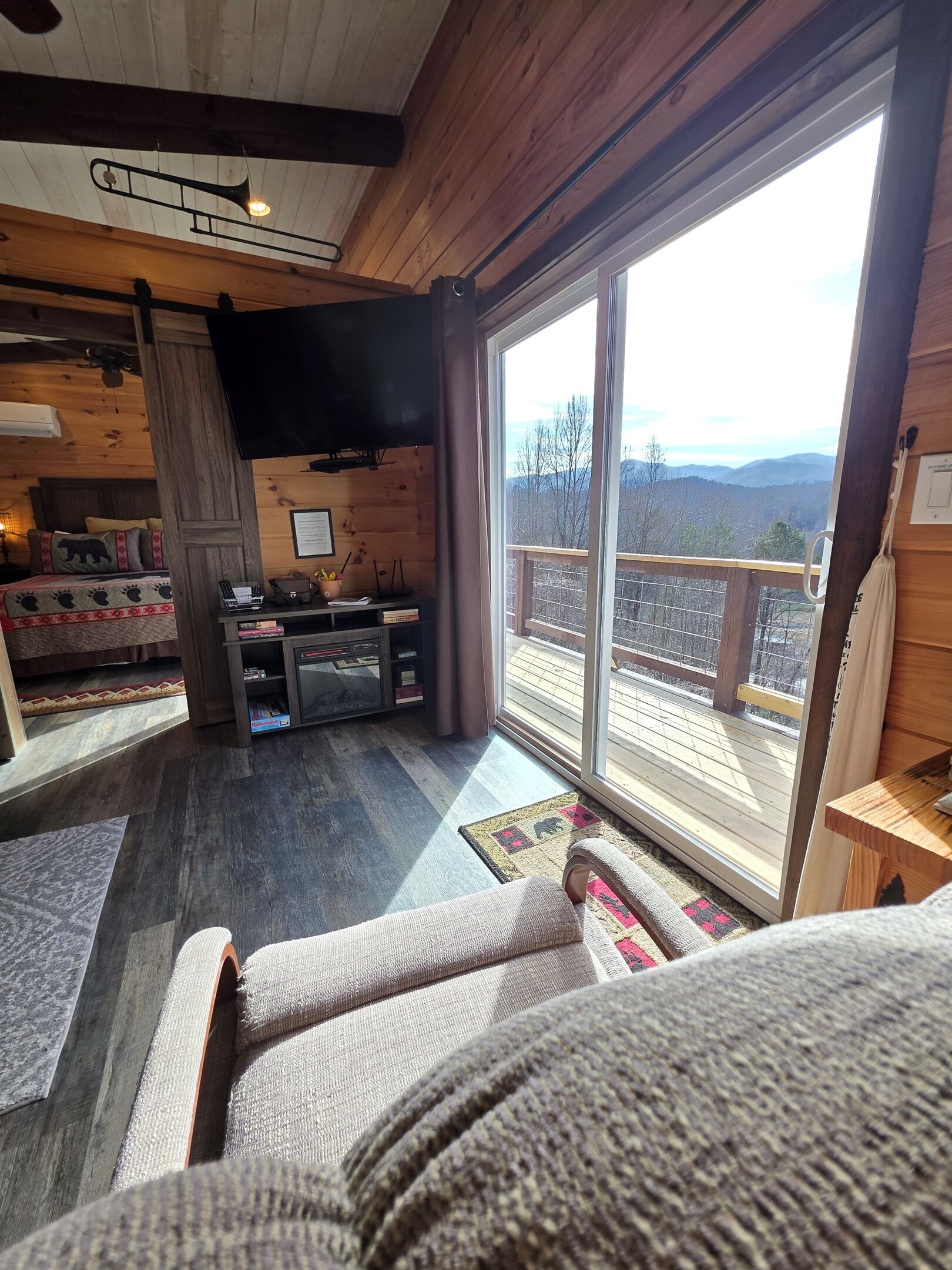 Smart TV, fireplace, DVD player, books