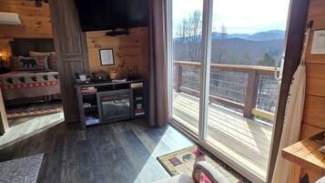 Smart TV, fireplace, DVD player, books
