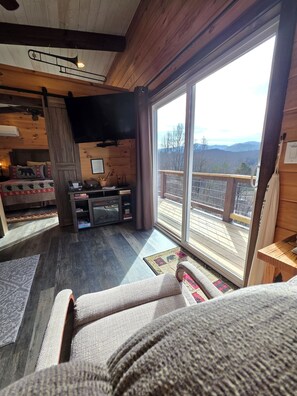 Smart TV, fireplace, DVD player, books