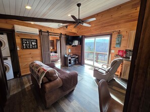 Smart TV, fireplace, DVD player, books