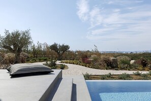 Zwembadgedeelte met een betonnen rand, een gestreept kussen en uitzicht op een aangelegde tuin met verschillende planten en een verre kustlijn.