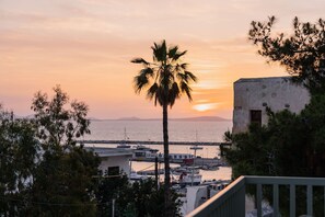 A coastal view with a sunset, a palm tree, and boats at a marina.