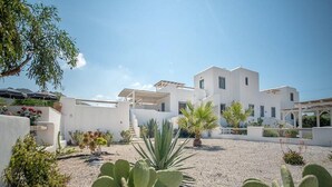 A courtyard with white buildings, a palm tree, and a cactus. - 293102 - Casa Magnifica (Naxos)