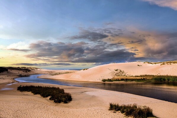 Beach - Maison Landaise - Les Reuzes (Léon)