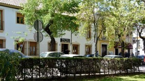 A street view with parked cars, a building with a sign reading "Casa Patio Los Patios," and a hedge in the foreground. - casapatiolaspalmeras (Córdoba)