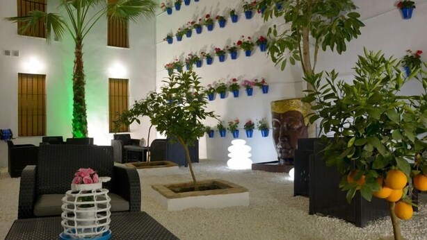 A lobby with seating, a palm tree, potted plants, and a Buddha statue. - casapatiolaspalmeras (Córdoba)