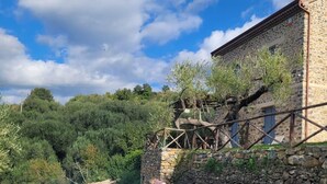 Pool - Villa with Pool in the Cilento in Ascea Casolare Centoulivi (Campania)
