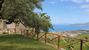 Property grounds - Villa with Pool in the Cilento in Ascea Casolare Centoulivi (Campania)