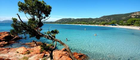 Plage à proximité