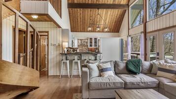 Smart TV, chimenea y libros