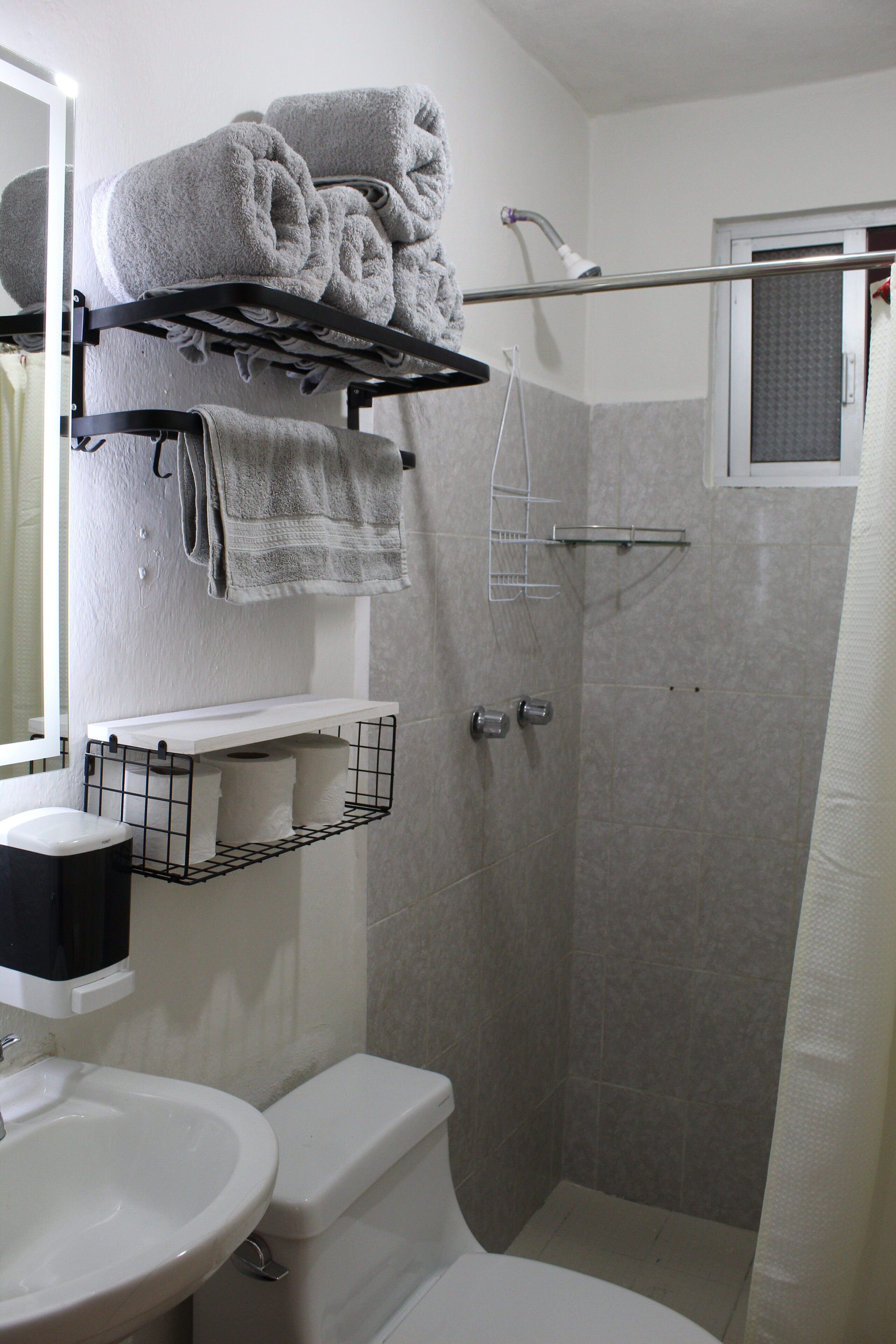 Hair dryer, towels, soap, toilet paper