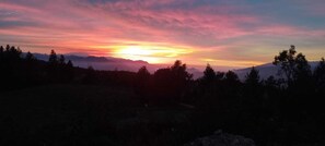 Altres